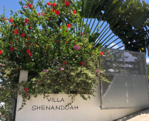 Villa Shenandoah